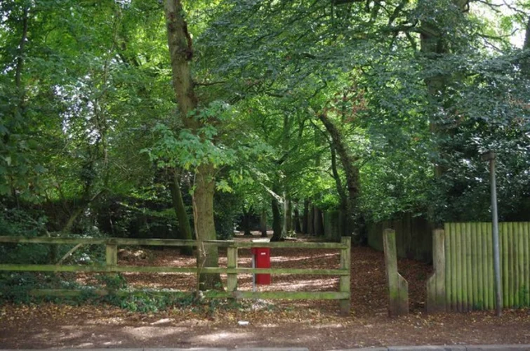 Windmill Wood