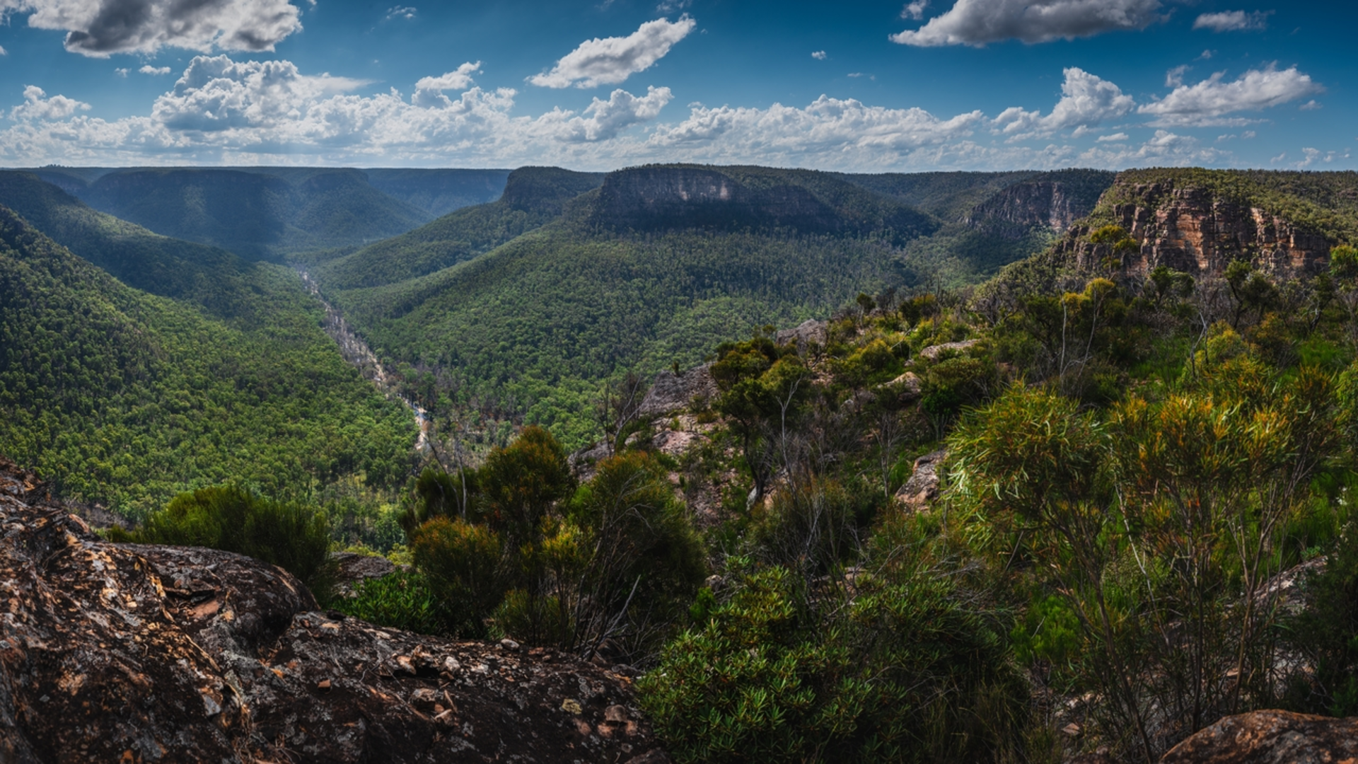 An image depicting the trail Starlights Trail and its surrounding area.