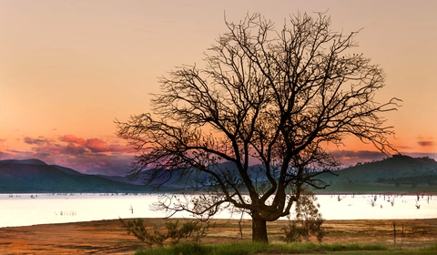 Tallangatta to Old Tallangatta Stroll Trail