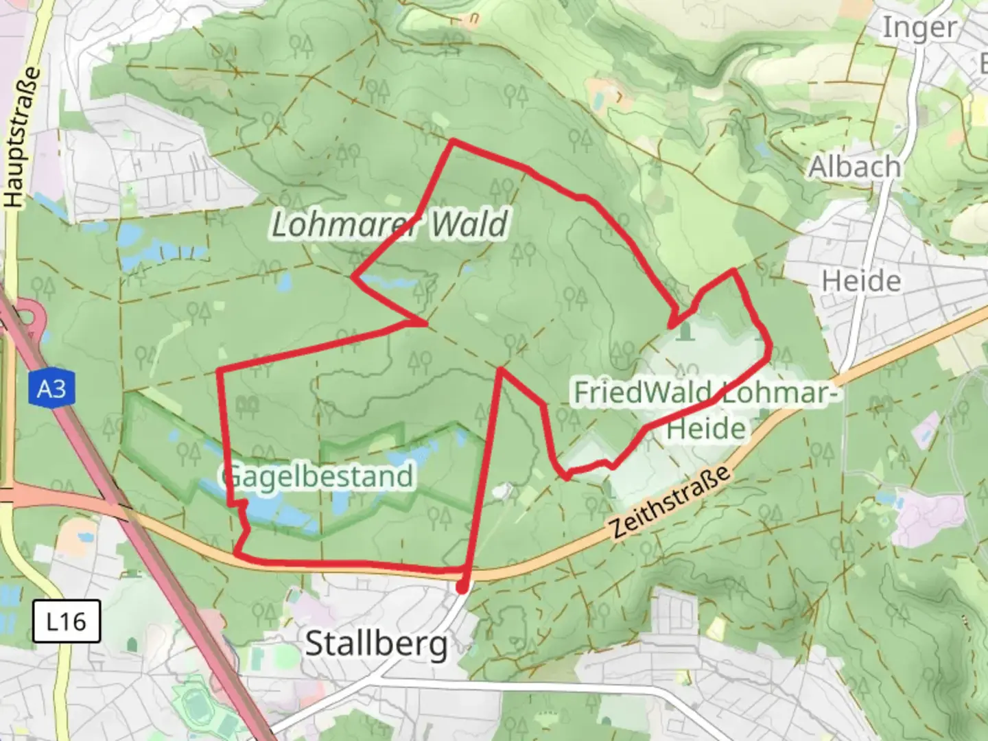 An image depicting the trail Rundweg A3 Loop and its surrounding area.