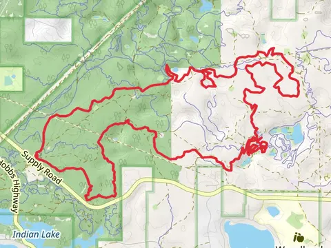VASA Single Track - Blue and Orange Loop