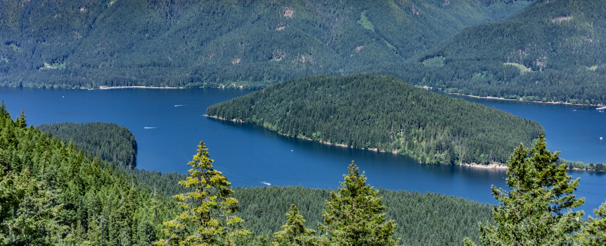 An image depicting the trail Piety Knob Island Trail and its surrounding area.
