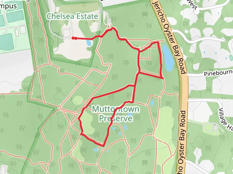 King Zog's Loop Trail