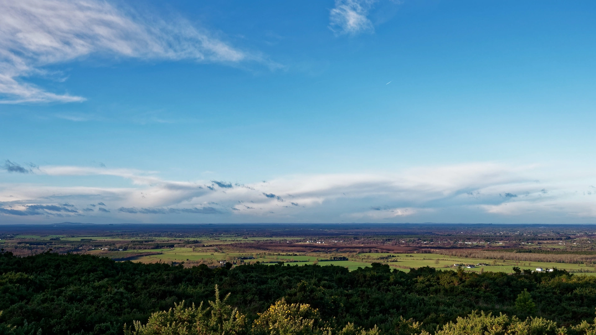 An image depicting the trail Moore Abbey Woods - Gerard Manly Hopkins Way and its surrounding area.