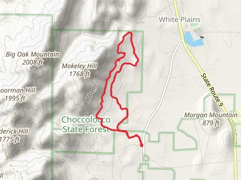 Iron Legs Loop