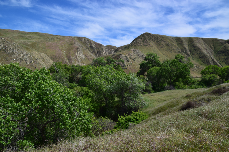 San Emigdio Canyon