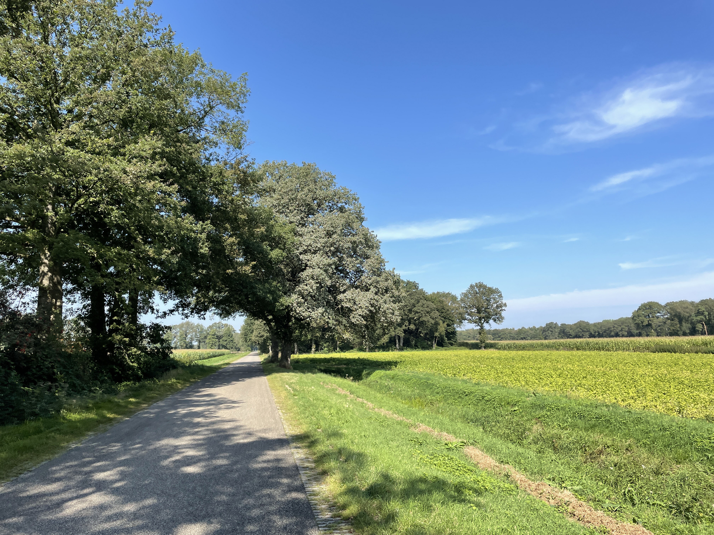 An image depicting the trail Hagmolenbeek via Katiers Weg and Grondhutten Weg and its surrounding area.