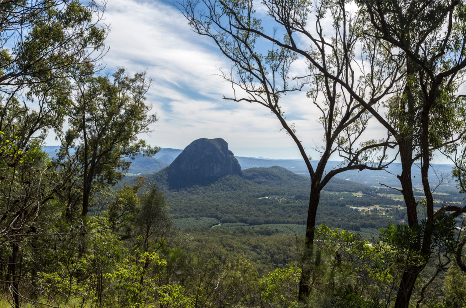 An image depicting the trail Mount Beerburrum Summit Walk and its surrounding area.