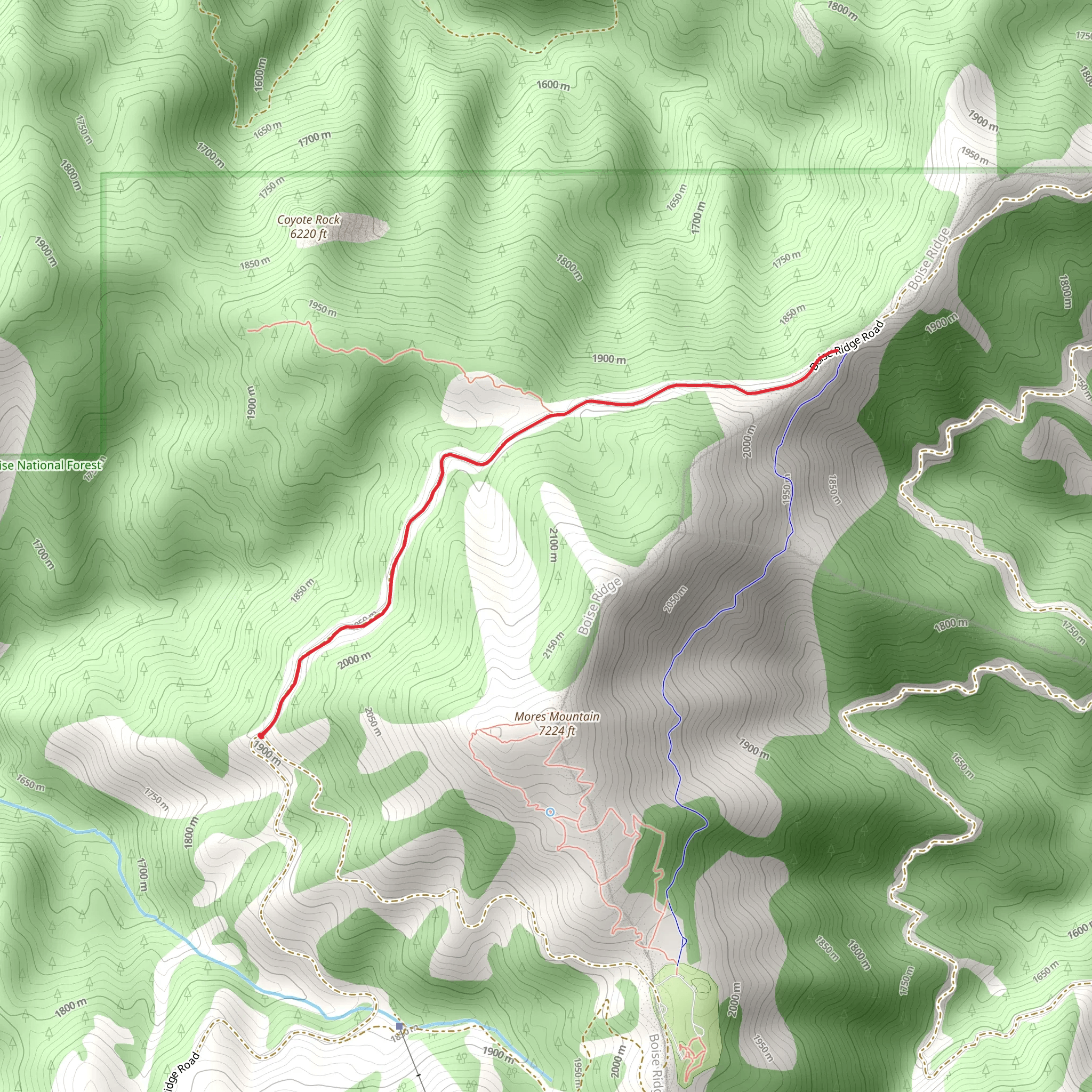 Forest Road 374 Walk mobile static map