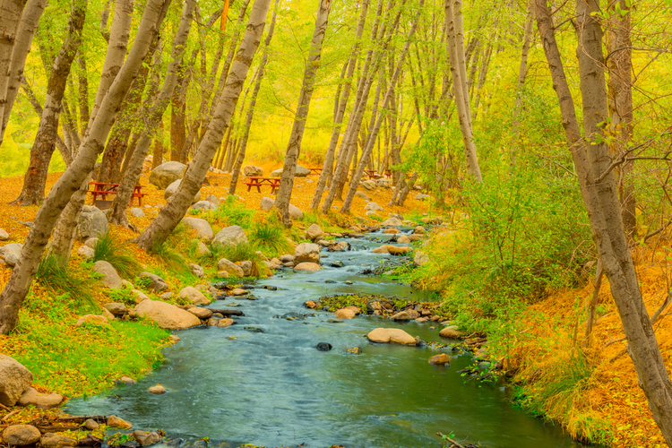 Seven Oaks Trail