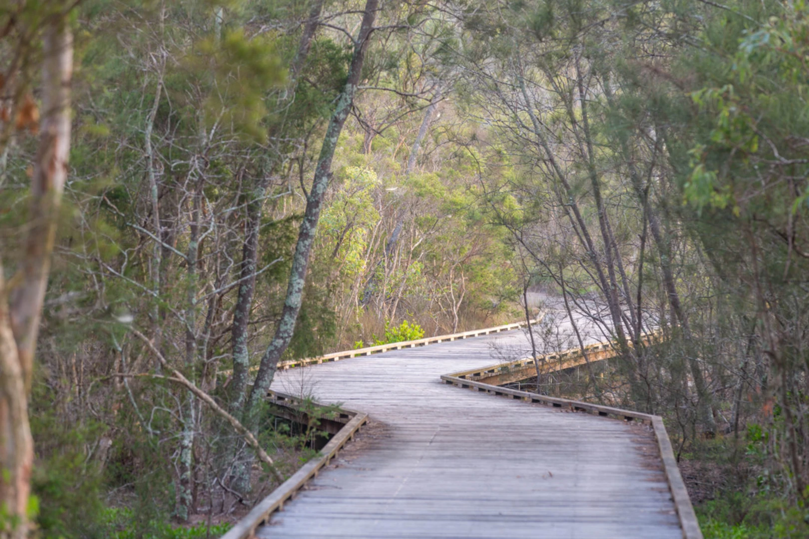 An image depicting the trail Tingalpa Creek Circuit and its surrounding area.