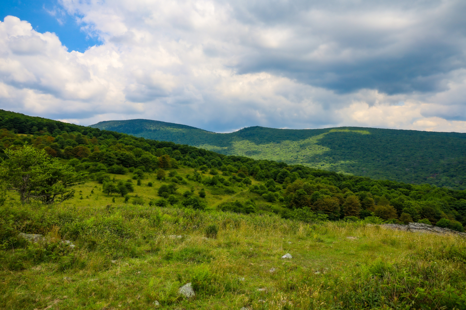 An image depicting the trail Mount Rogers Trail and its surrounding area.