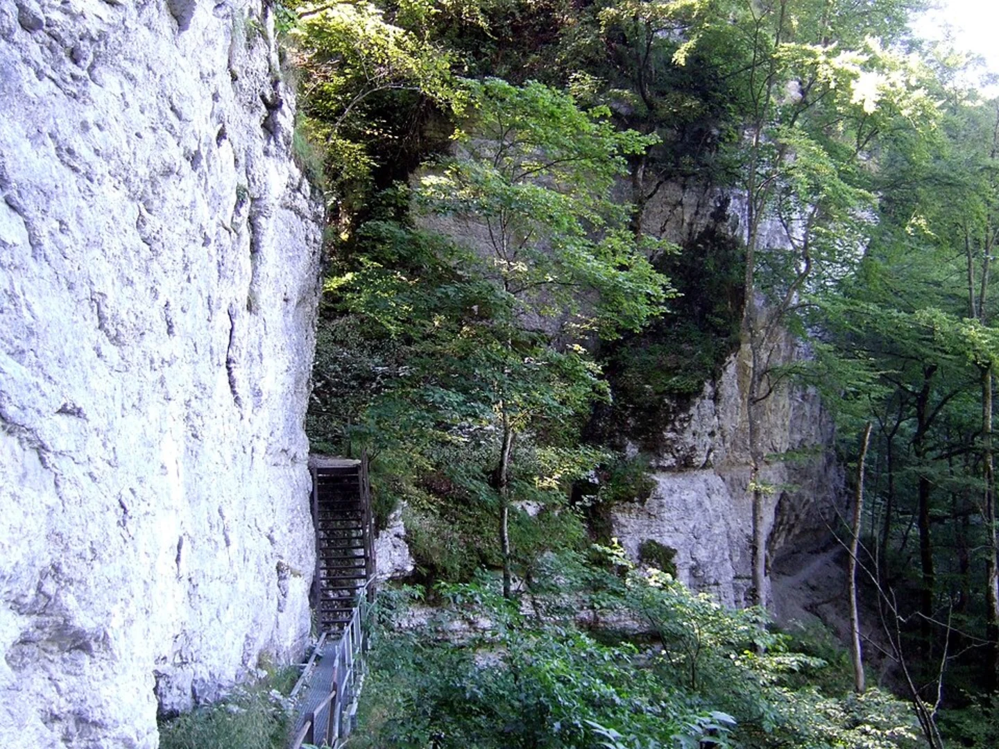 An image depicting the trail Hossinger Leiter and Graebelesberg via Traufgand Hossinger Leiter and its surrounding area.
