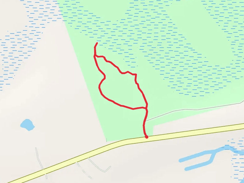 Dungannon Plantation Heritage Preserve Loop