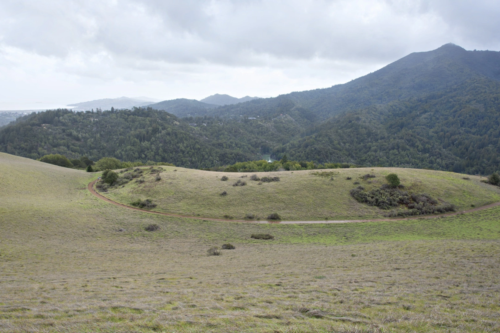 An image depicting the trail Phoenix Lake via Gertrude Ord Trail and its surrounding area.