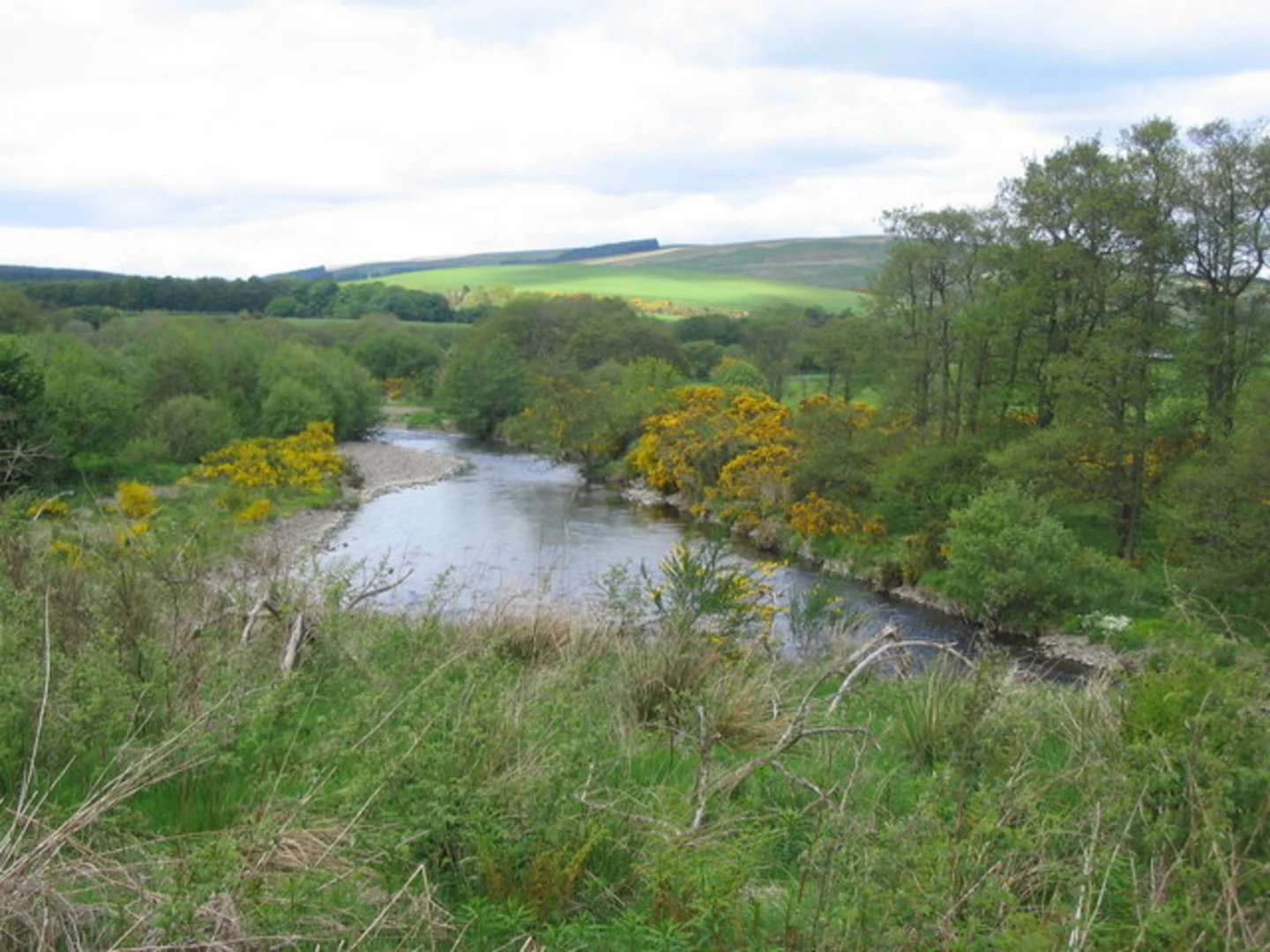 An image depicting the trail Green Hill Loop via River of Ae Trail and its surrounding area.