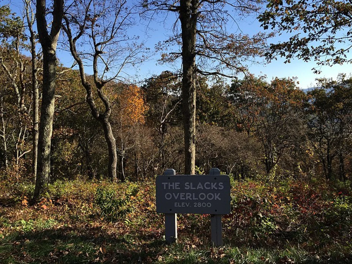 An image depicting the trail White Rock Falls Trail and its surrounding area.