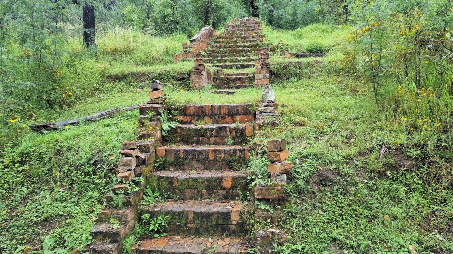 An image depicting the trail Newnes Industrial Ruins Walk and its surrounding area.