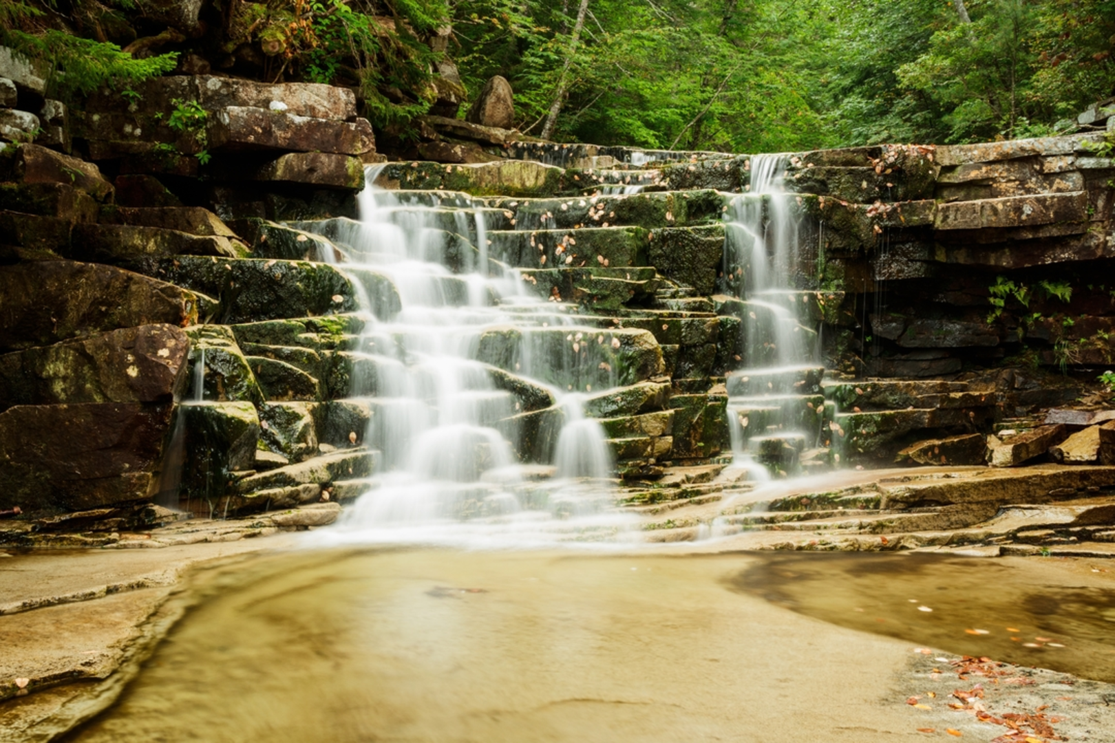An image depicting the trail Arethusa Falls and Bemis Brook Trail Loop and its surrounding area.