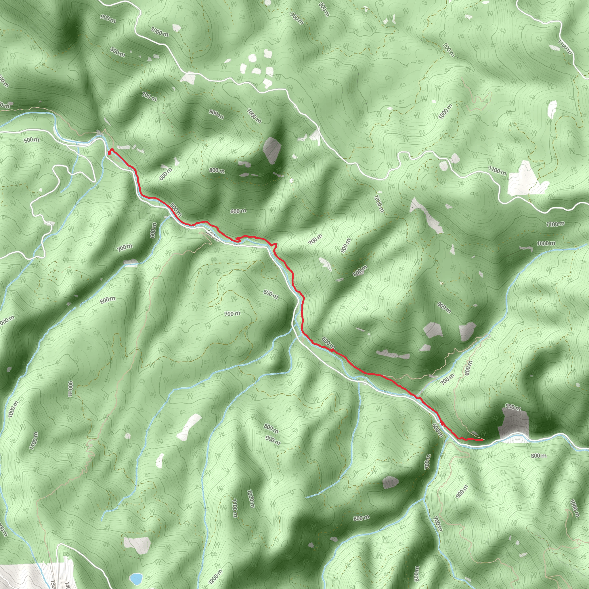 Brice Creek Trail from Cedar Creek Campground mobile static map