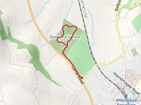Whitehead Diamond Jubilee Wood
