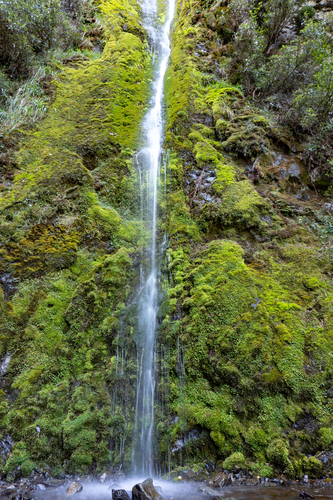 Dog Stream Waterfall via Waterfall Track