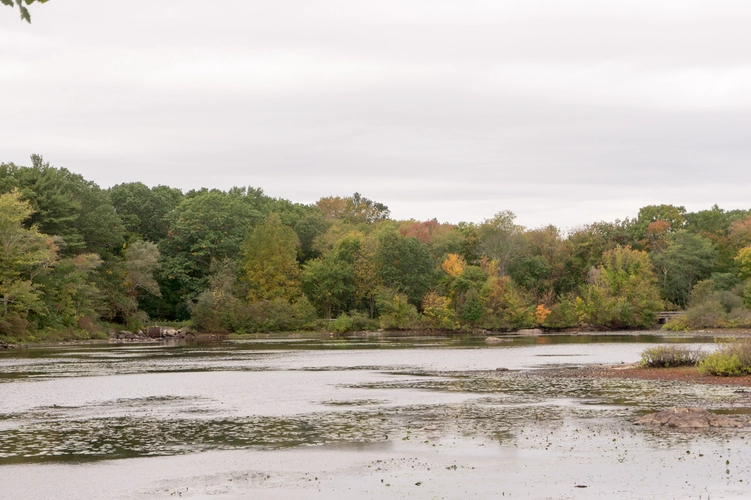 Triphammer Pond Loop