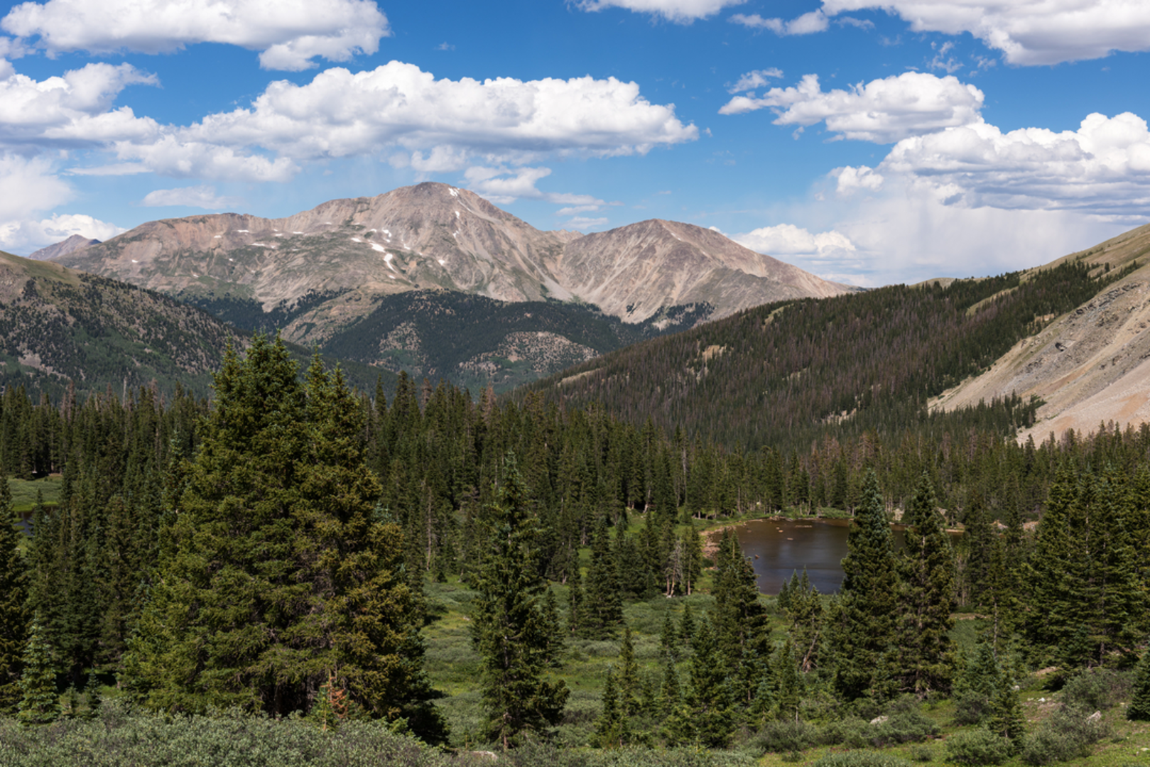 An image depicting the trail Mount Yale Trail and its surrounding area.