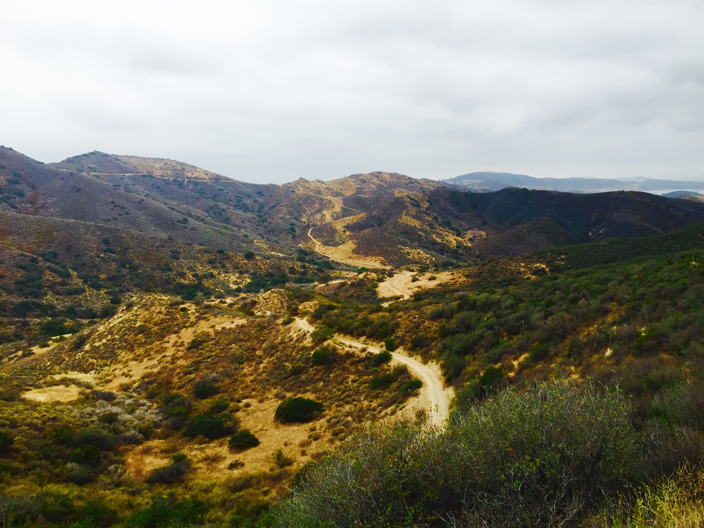 An image depicting the trail Challenger Park Loop and its surrounding area.