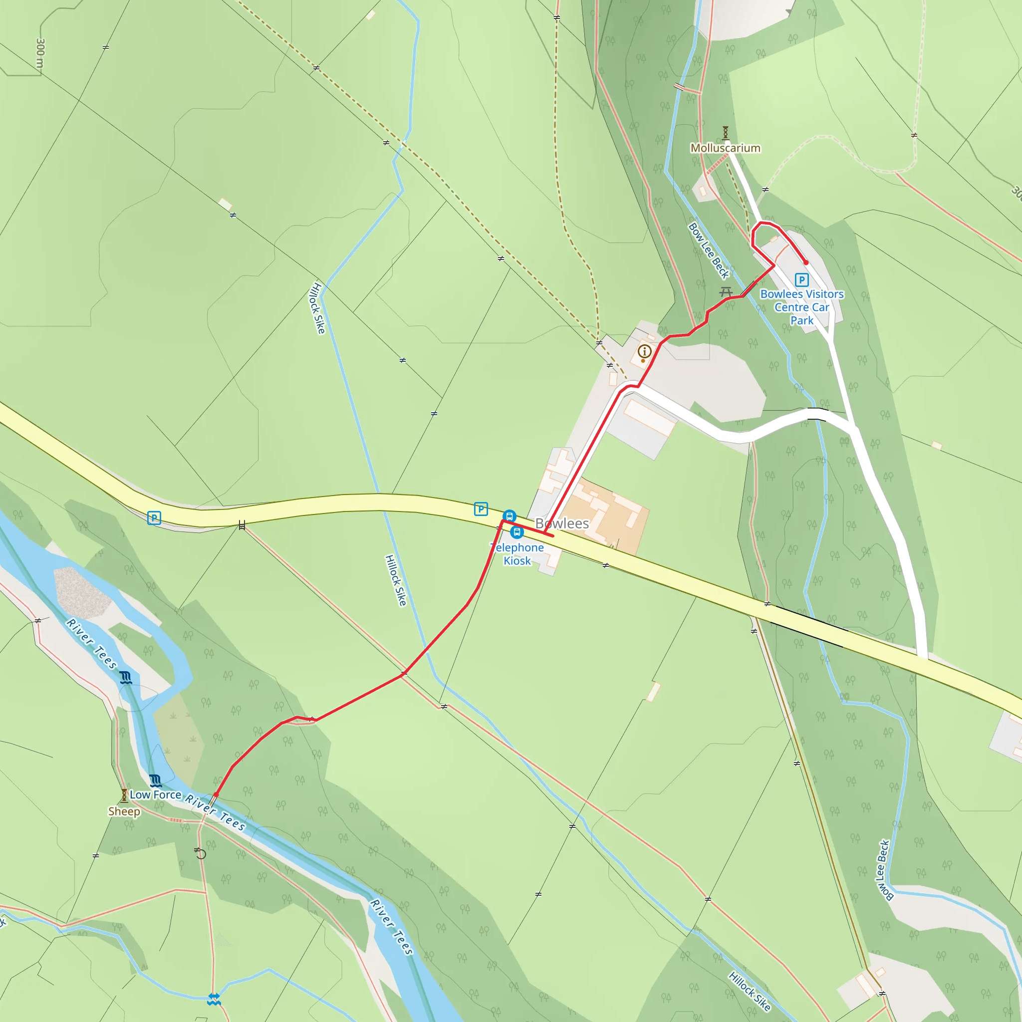 Low Force mobile static map