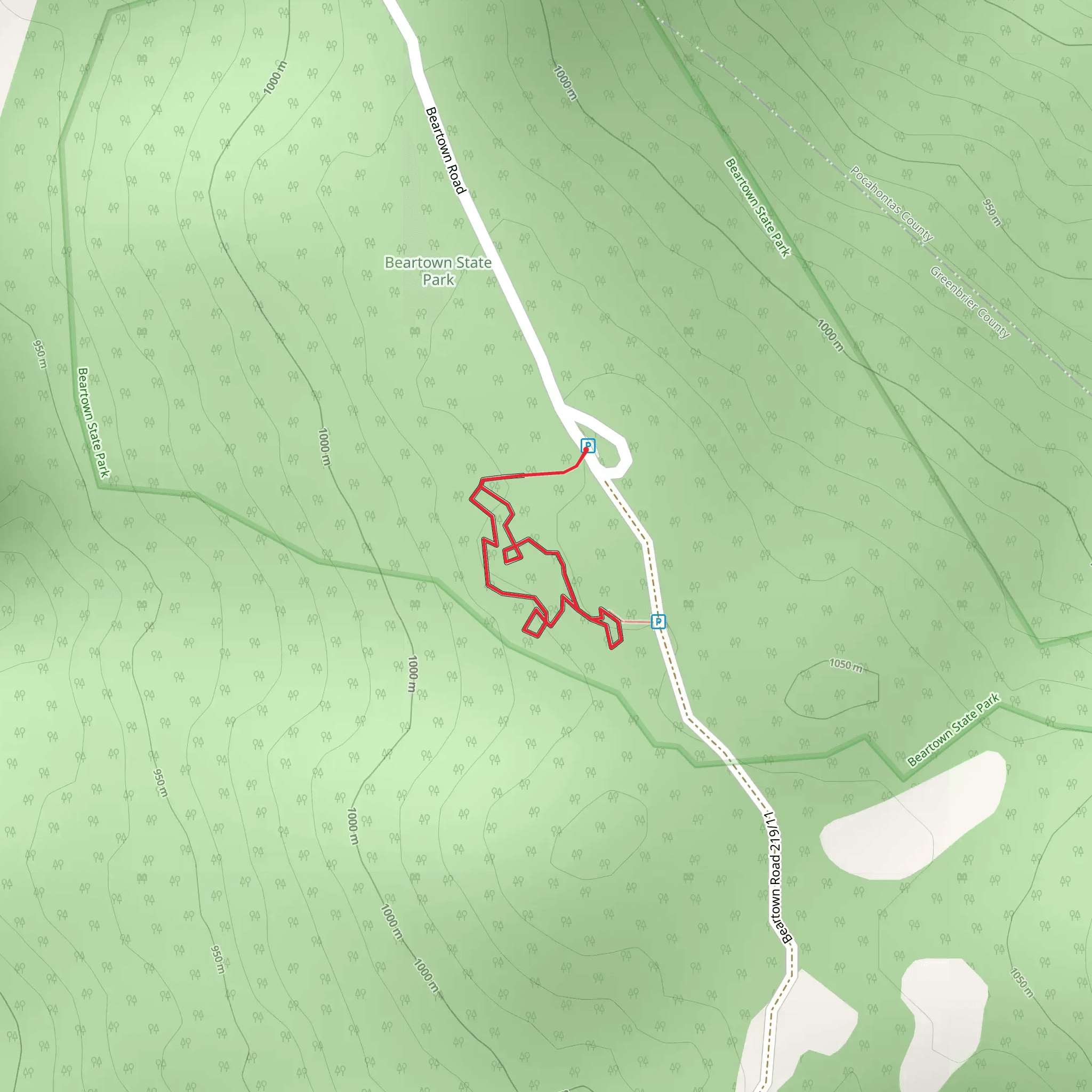 Beartown Road 219-11 Loop mobile static map