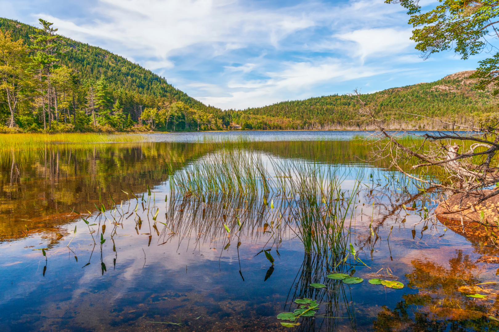 An image depicting the trail Parkman Mountain Trail and its surrounding area.