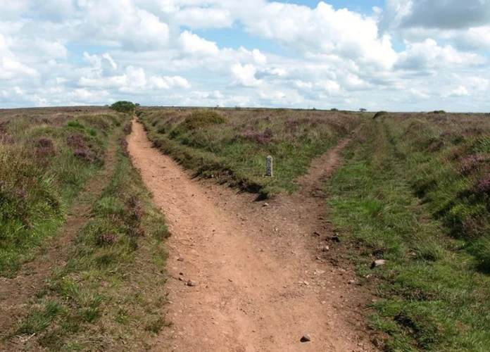 Sheldon Country Park Loop