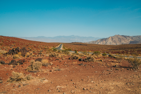 Surprise Canyon Trail