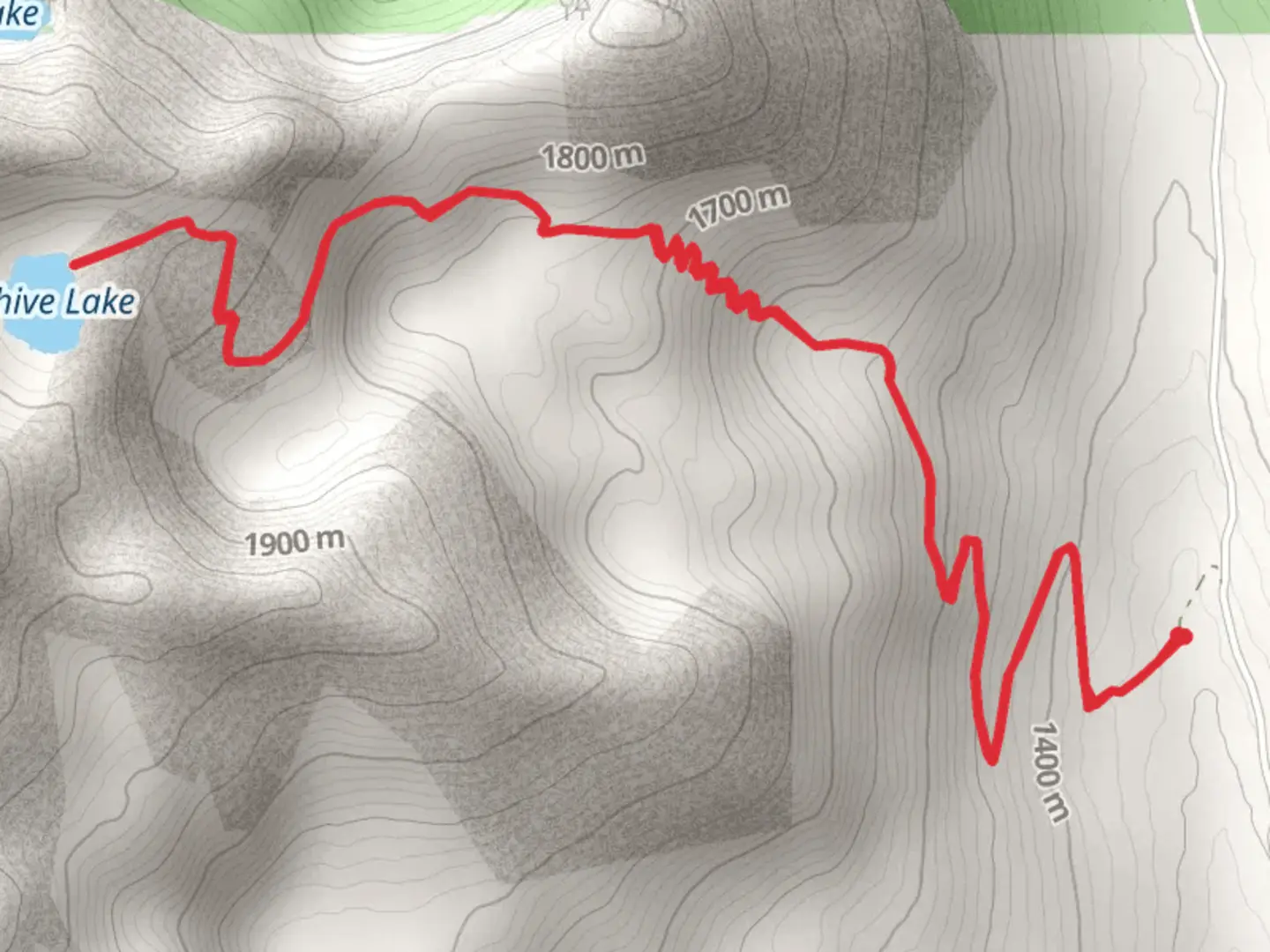 An image depicting the trail Beehike Lake Trail and its surrounding area.