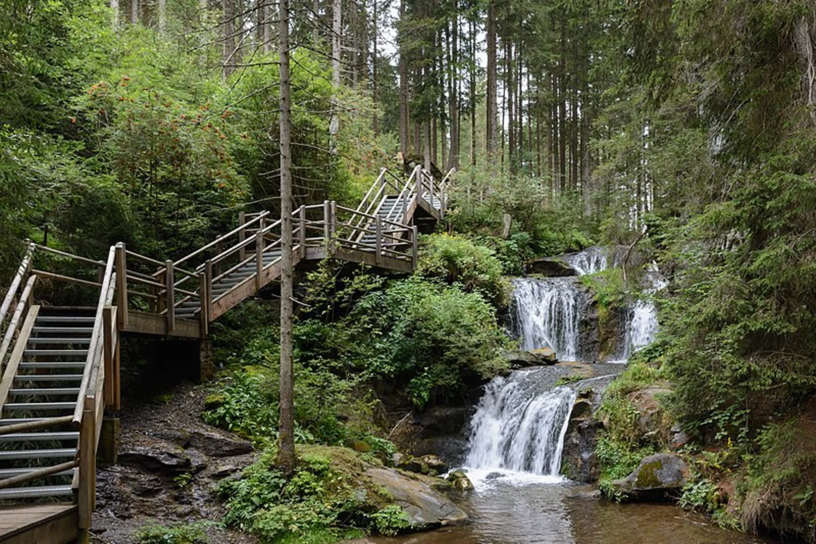 An image depicting the trail Graggerschlucht and its surrounding area.