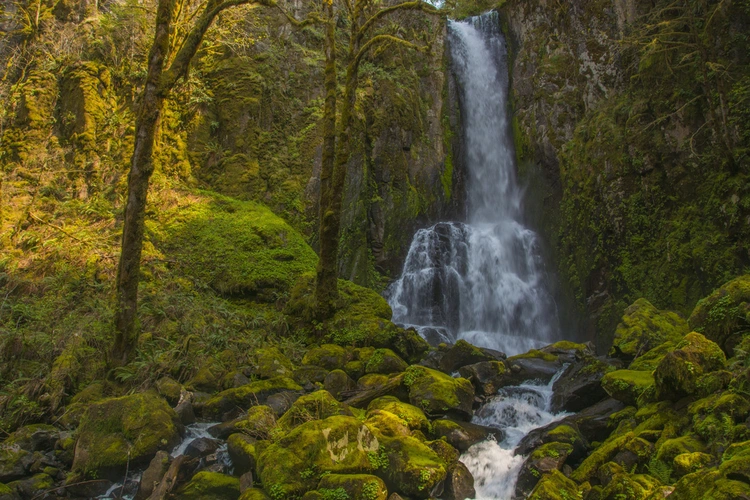 North Fork Smith River Trail