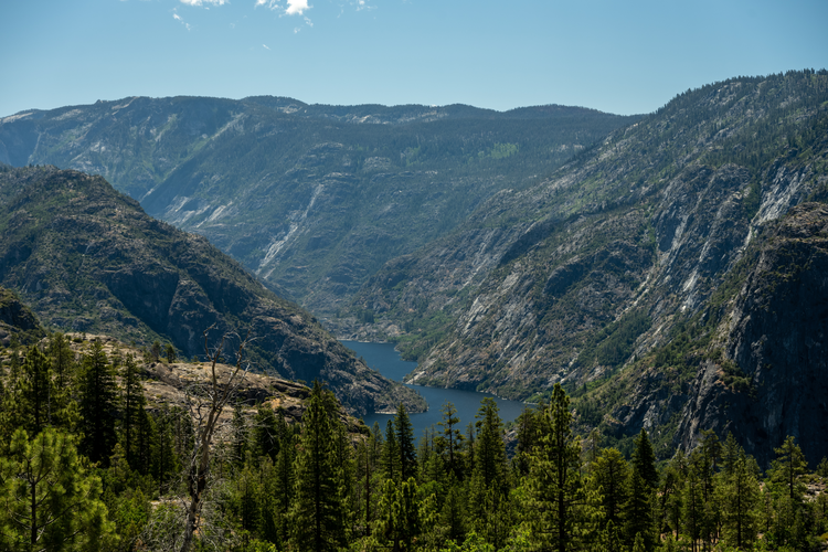 Walk along Tuolumne River and Morrison Creek from White Wolf