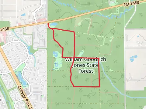 William Goodrich Jones State Forest Loop