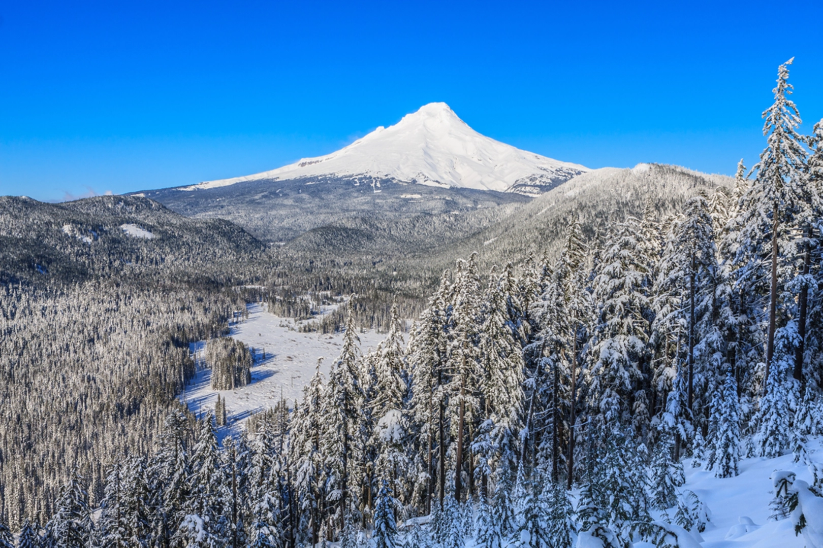 An image depicting the trail Eightmile Loop Trail and its surrounding area.