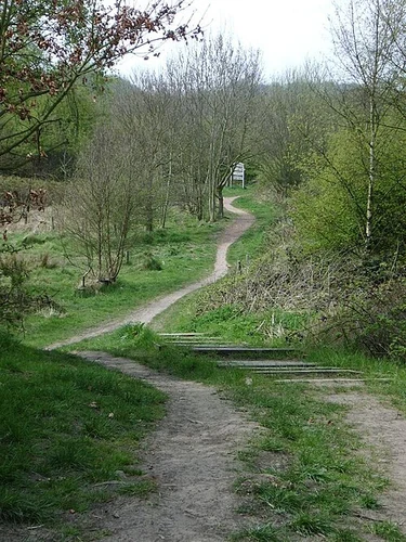 Bloxwich to Landywood Walk