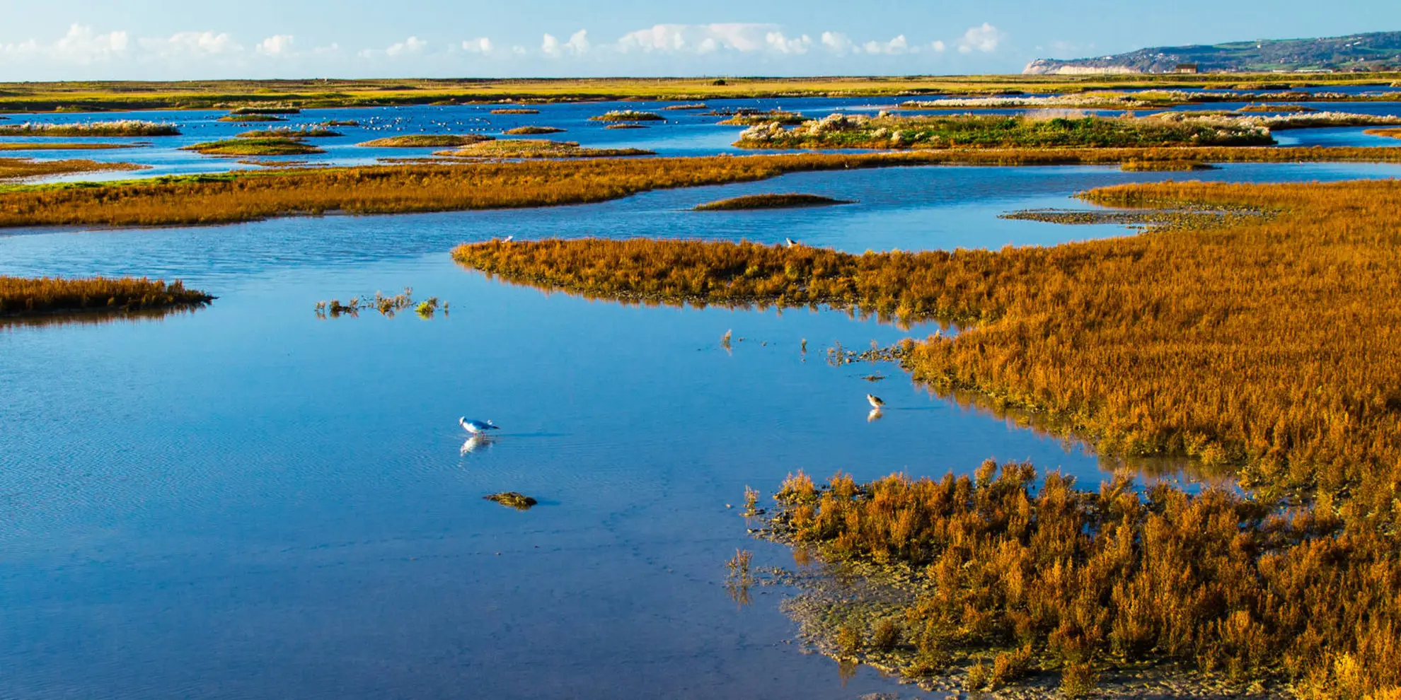 An image depicting the trail Rye Harbour Circular and its surrounding area.