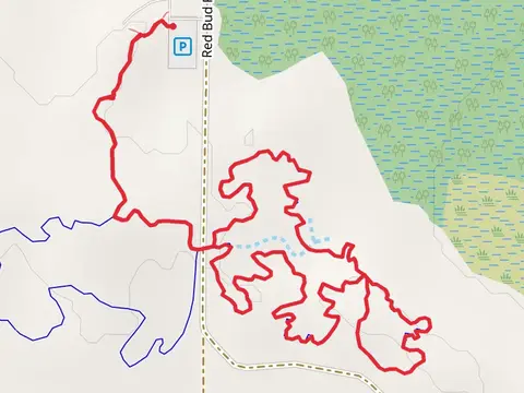 The Pines - Yin - Yang Loop