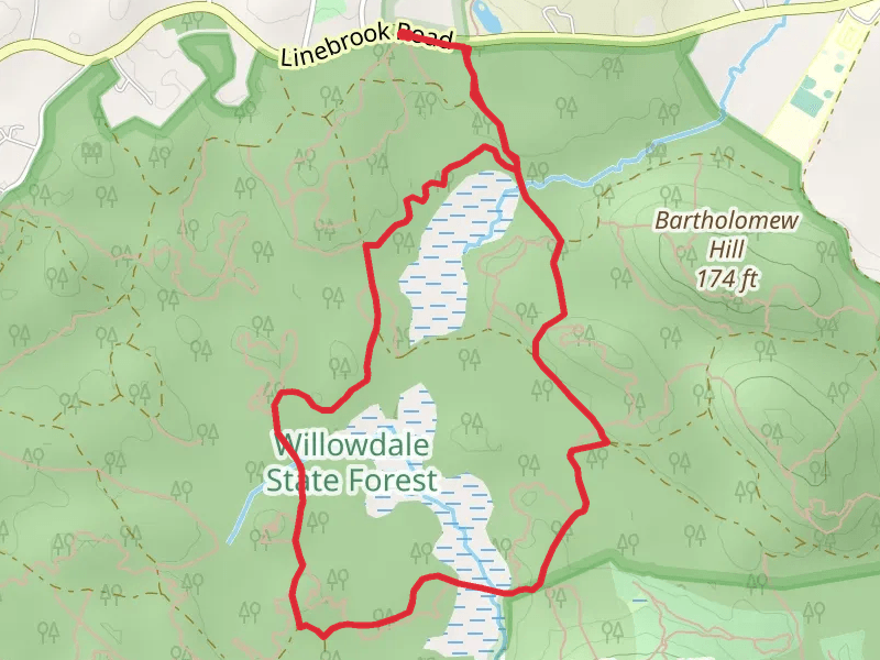 Willowdale State Forest Loop VIa Bay Circuit Trail