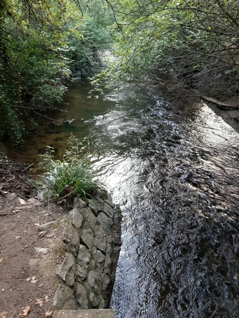 Meinhardsee Loop