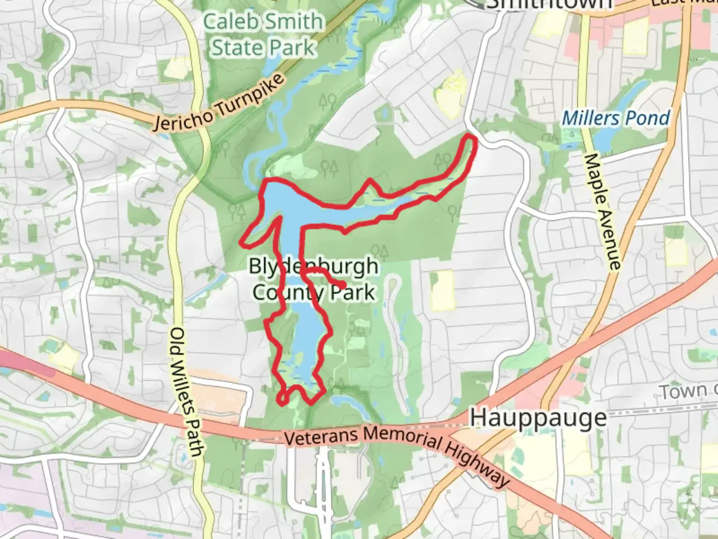 An image depicting the trail New Millpond Loop and its surrounding area.