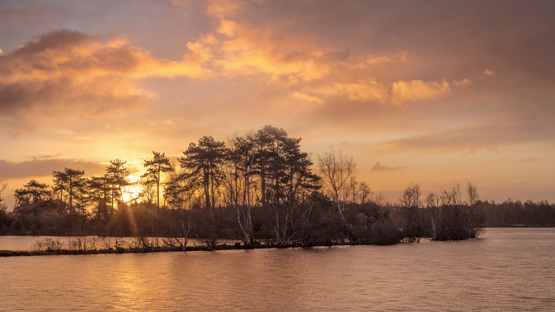 An image depicting the trail De Flaes, Het Goor and De Hertgang Loop and its surrounding area.