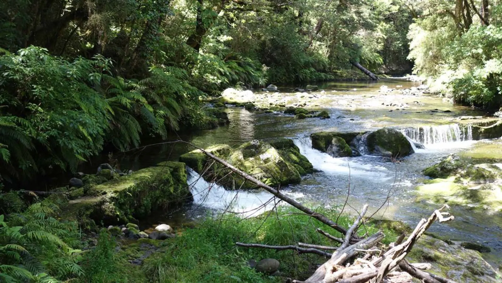 An image depicting the trail Six Mile Walk and its surrounding area.