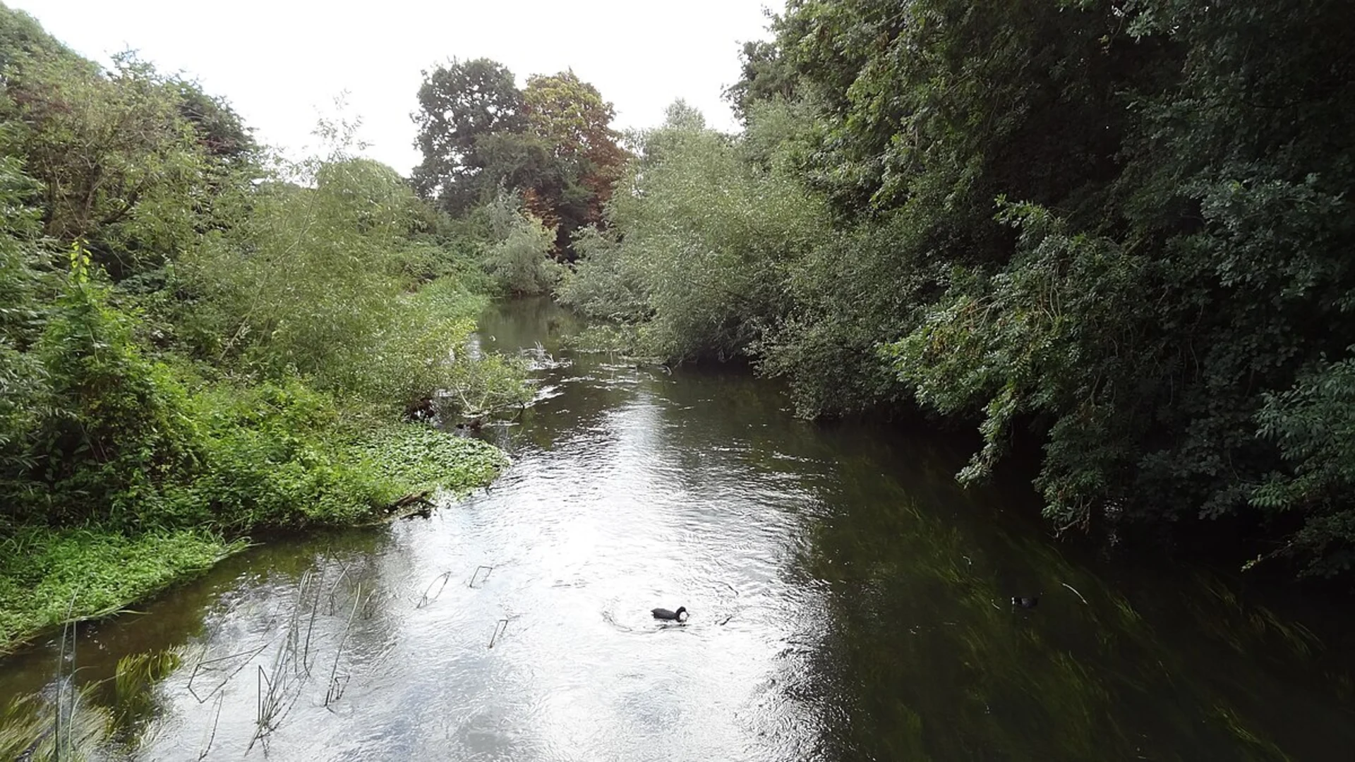 An image depicting the trail Ickenham to Denham Circular Walk and its surrounding area.