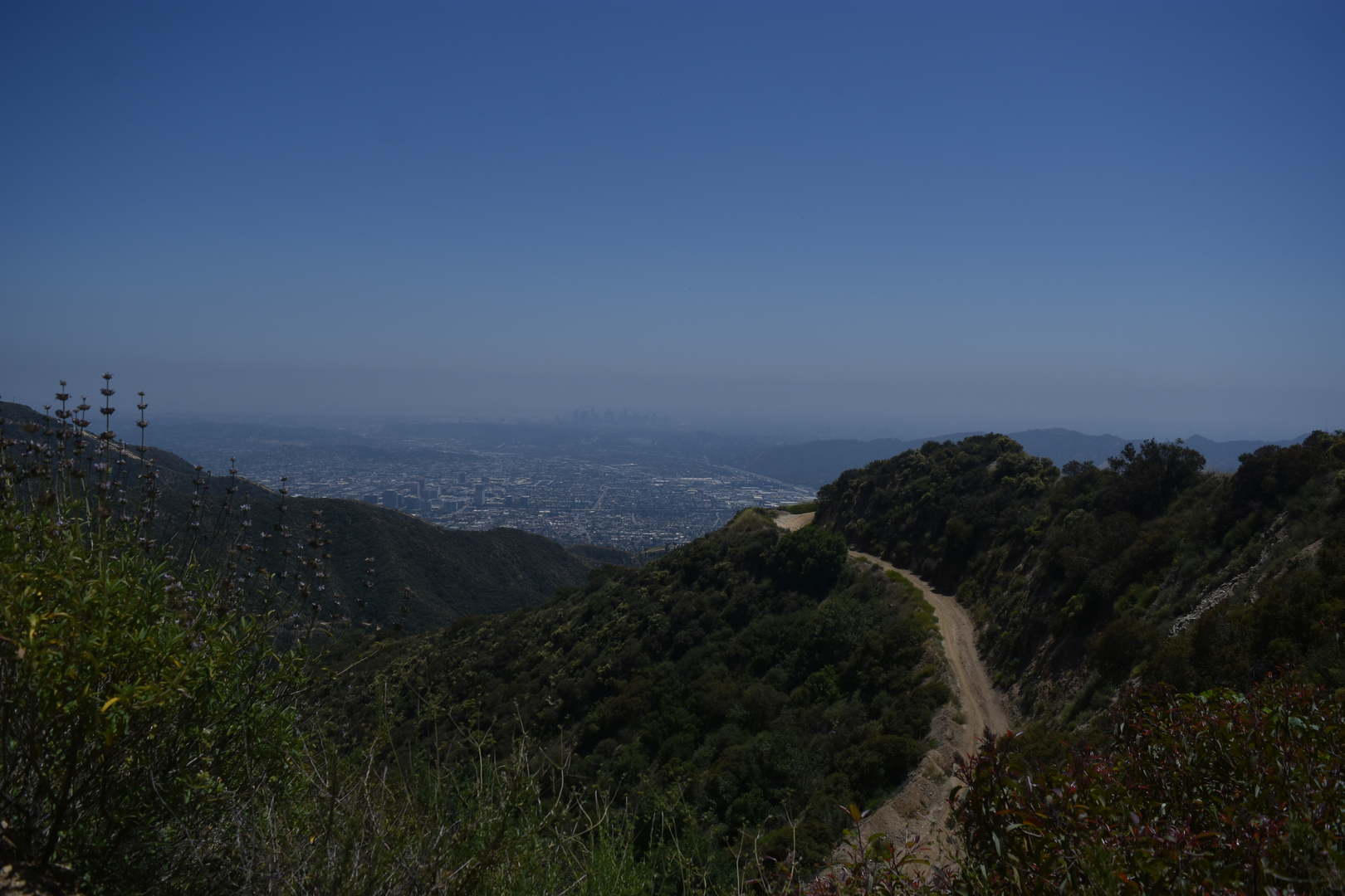 An image depicting the trail Tongva Peak and Brand Debris Basin Loop and its surrounding area.